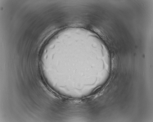 X0000062900243200602101814