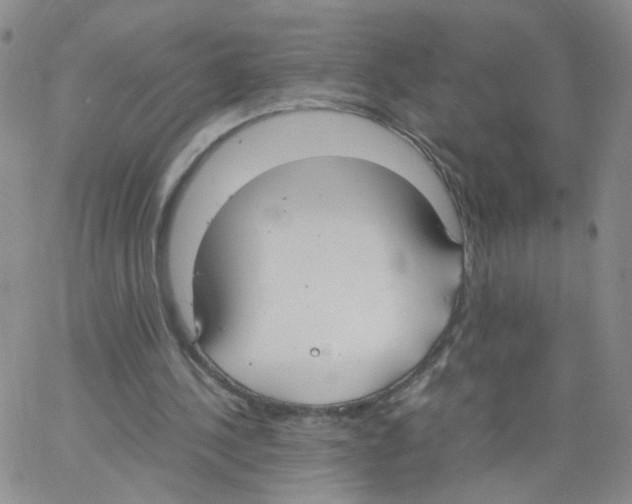 X0000062900244200602101814