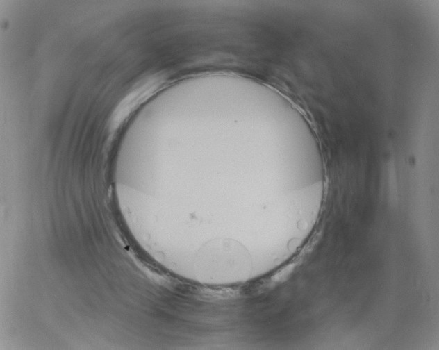 X0000062900245200602101814