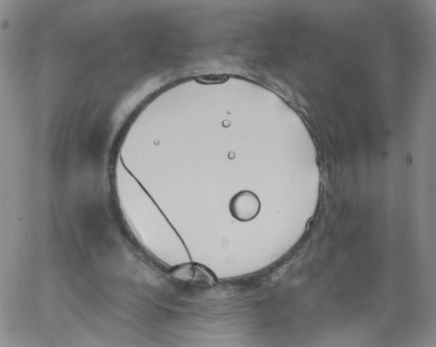 X0000062900248200602101814