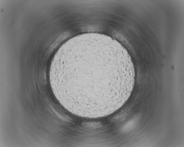 X0000062900251200602101814