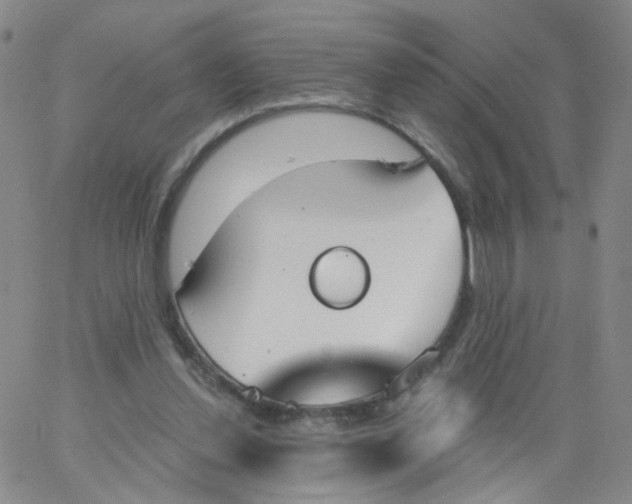 X0000062900252200602101814