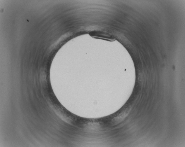 X0000062900256200602101814