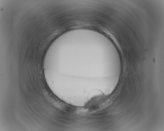 X0000062900257200602101814