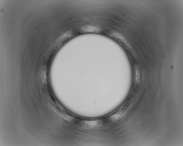 X0000062900259200602101814