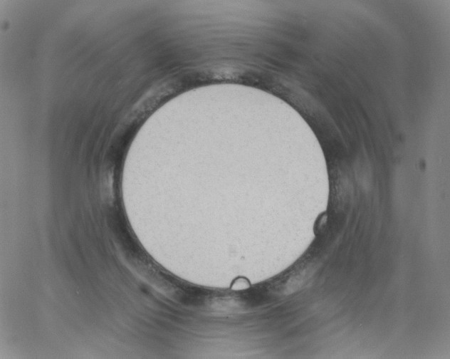 X0000062900262200602101814