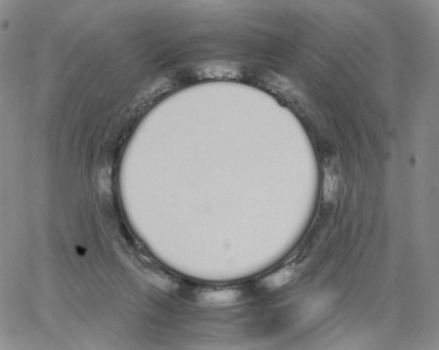 X0000062900263200602101814