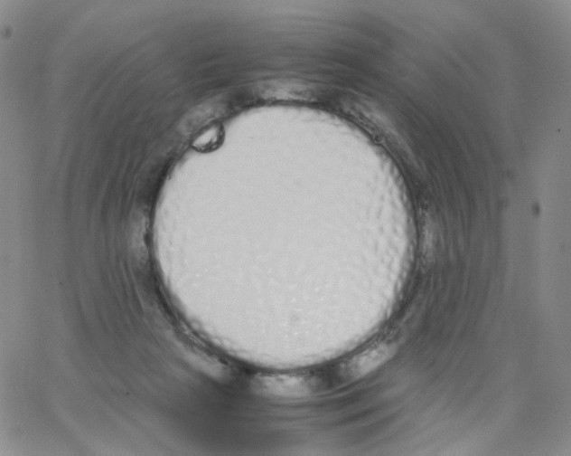 X0000062900265200602101814