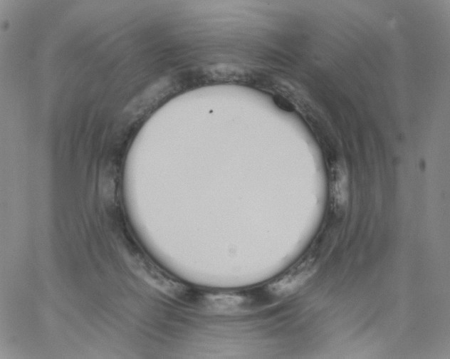 X0000062900266200602101814