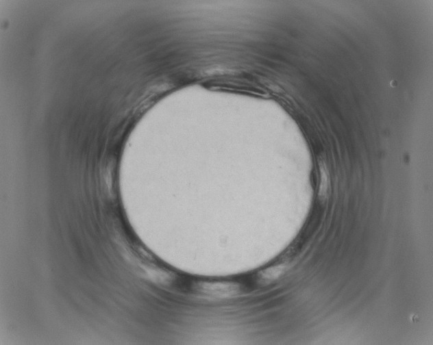 X0000062900268200602101814