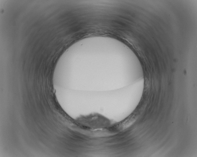 X0000062900269200602101814