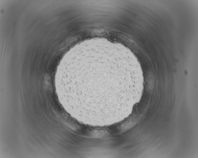 X0000062900270200602101814