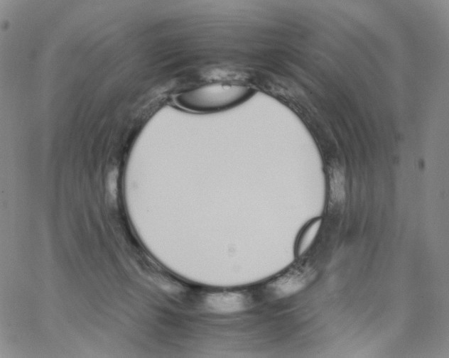 X0000062900271200602101814