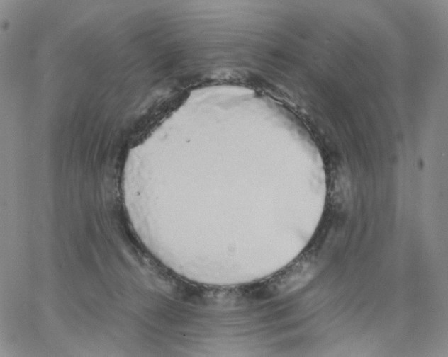 X0000062900272200602101814