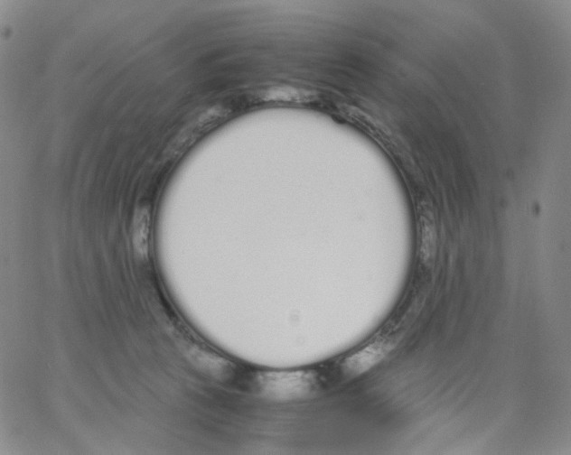 X0000062900273200602101814