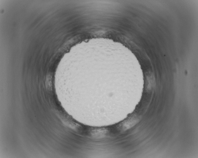 X0000062900274200602101814