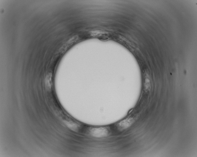 X0000062900275200602101814