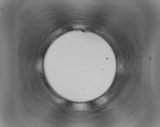 X0000062900277200602101814