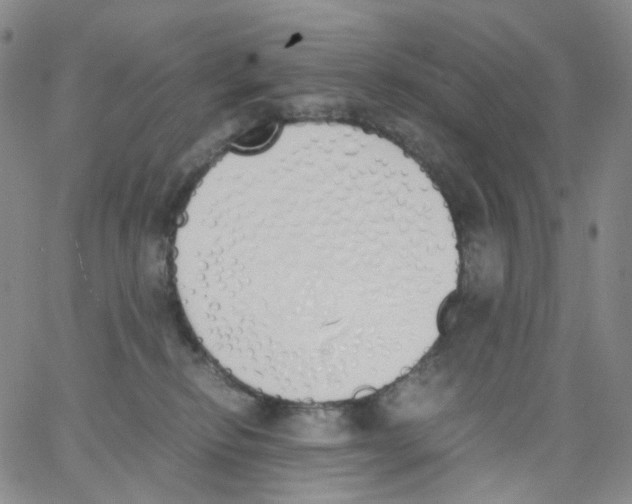 X0000062900278200602101814