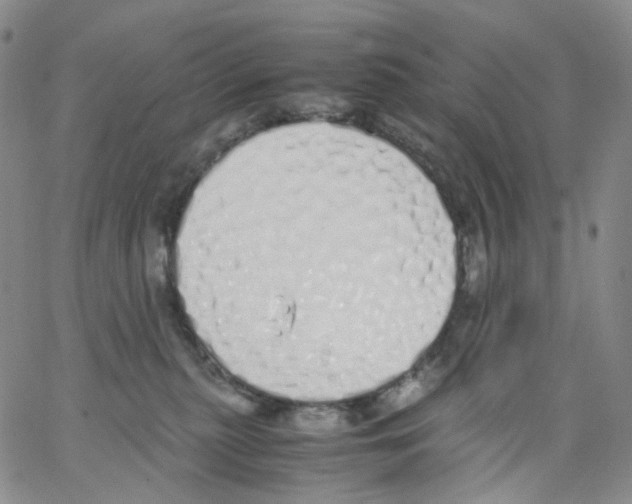 X0000062900279200602101814