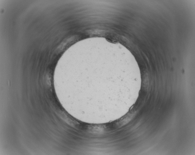 X0000062900282200602101815