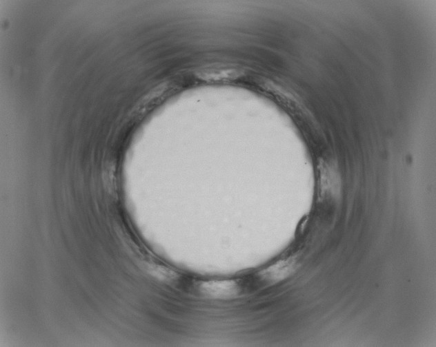 X0000062900283200602101815