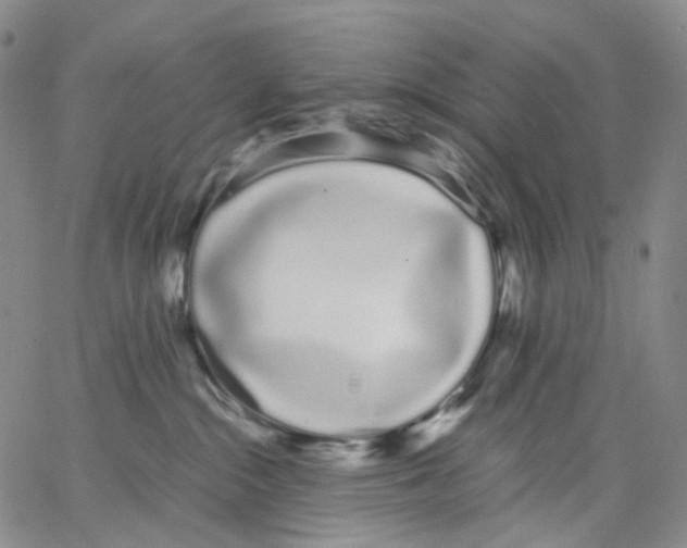 X0000062900284200602101815