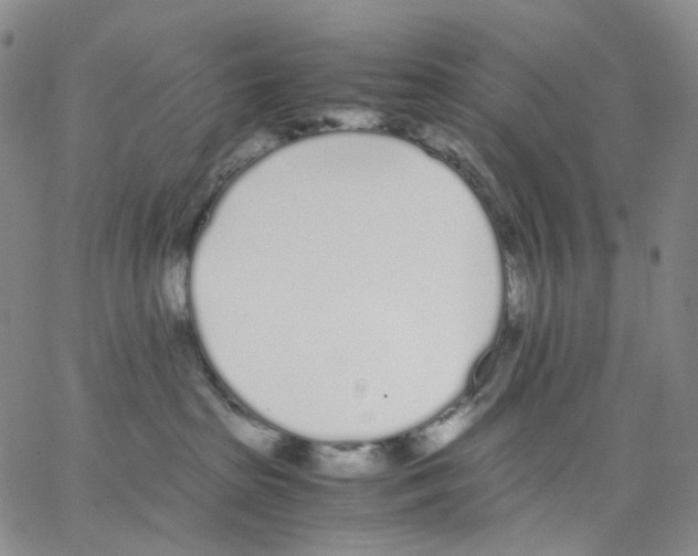 X0000062900285200602101815