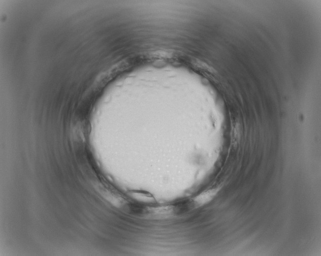 X0000062900286200602101815