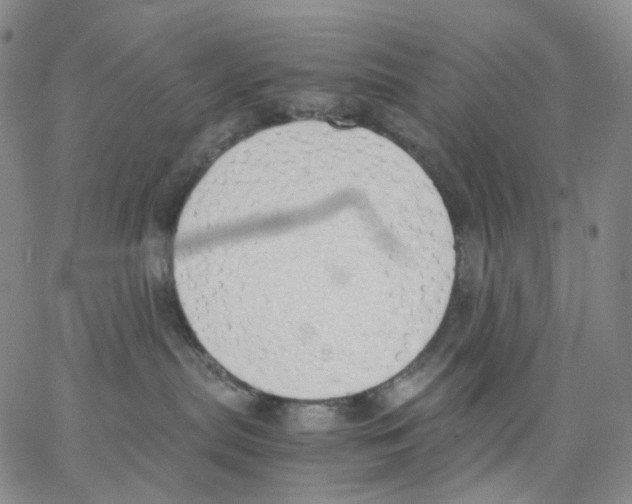 X0000062900287200602101815