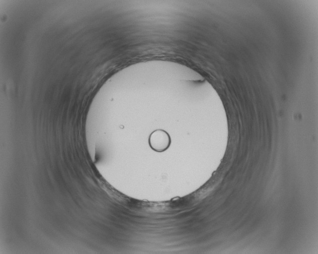 X0000062900288200602101815