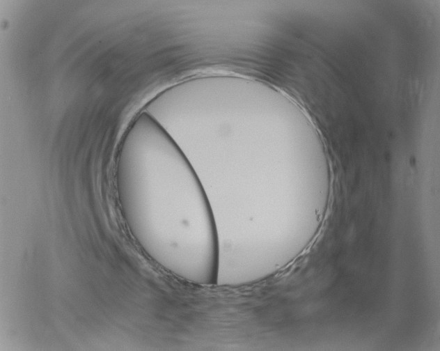 X0000062900289200602101814