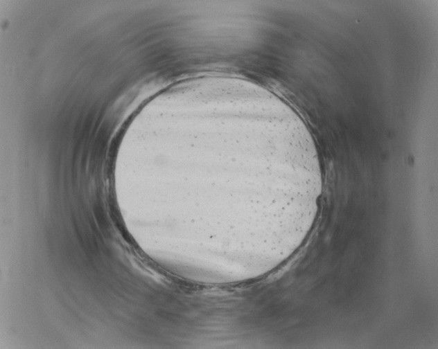 X0000062900290200602101814