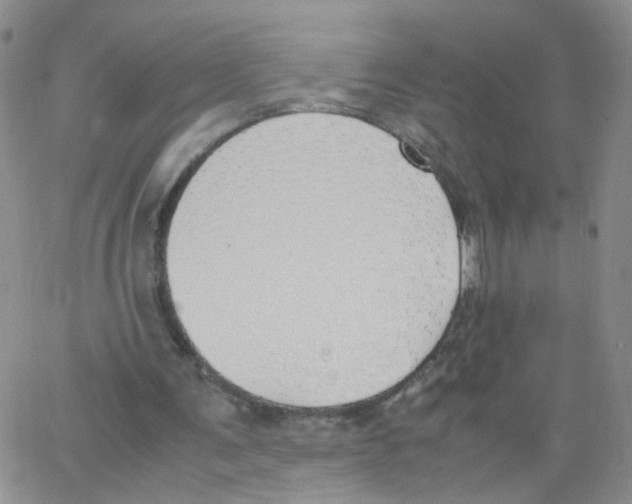 X0000062900291200602101814