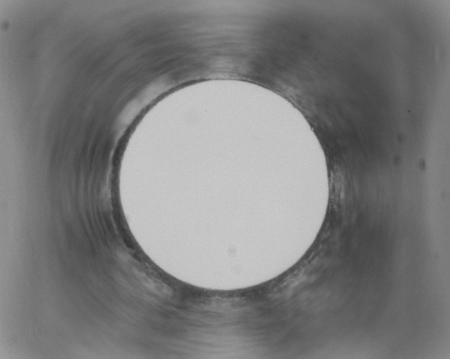 X0000062900292200602101814