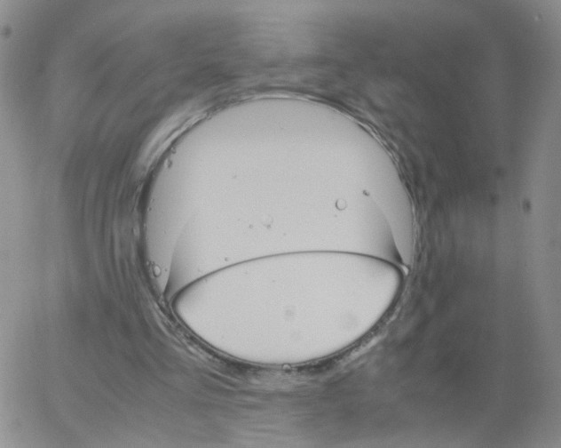 X0000062900293200602101814