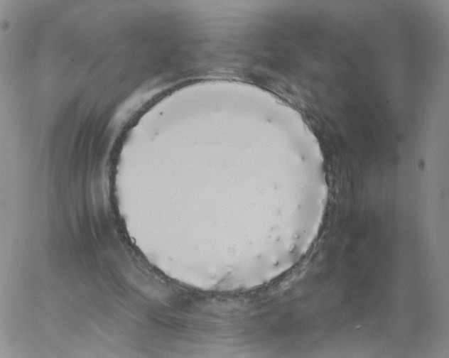 X0000062900294200602101814