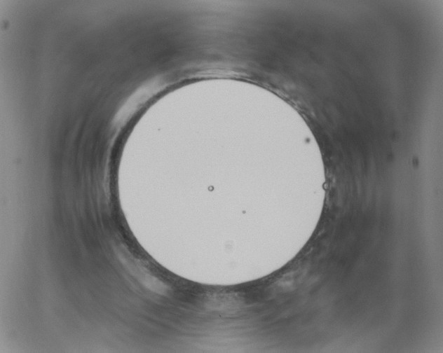 X0000062900296200602101814