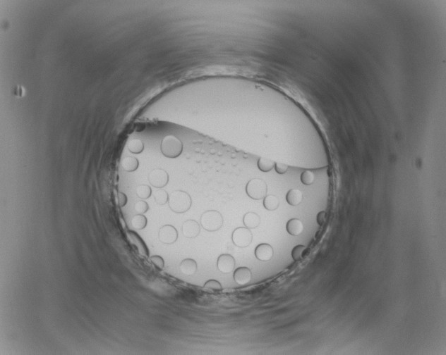 X0000062900297200602101814