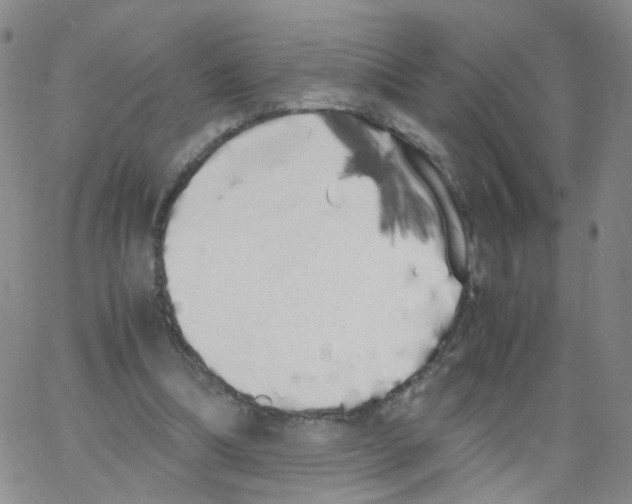 X0000062900298200602101814