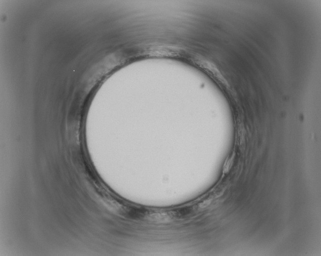 X0000062900299200602101814