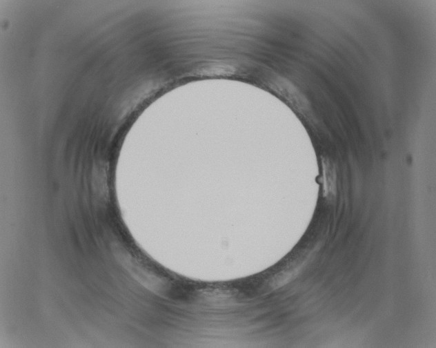 X0000062900300200602101814