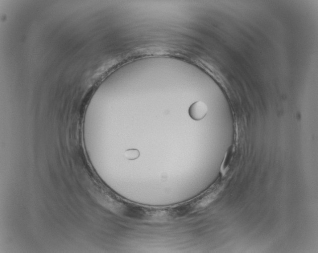 X0000062900301200602101814