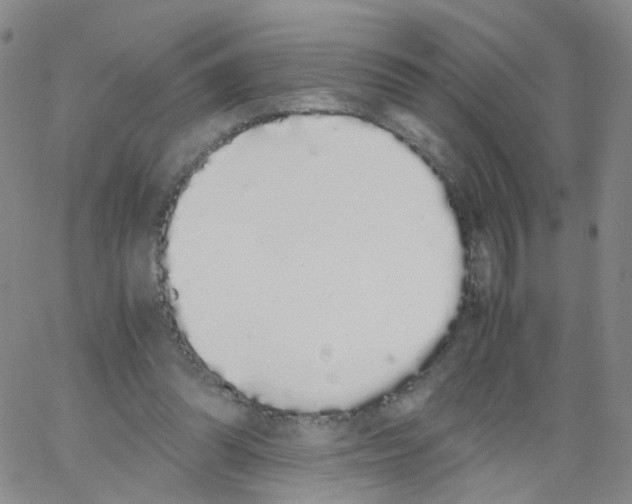 X0000062900302200602101814