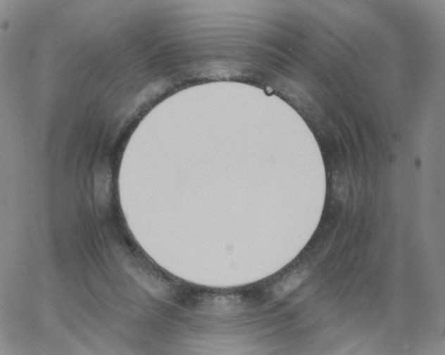 X0000062900304200602101814