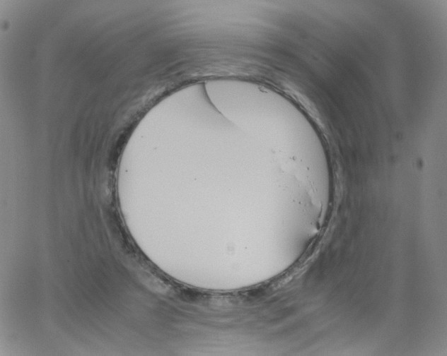 X0000062900305200602101814