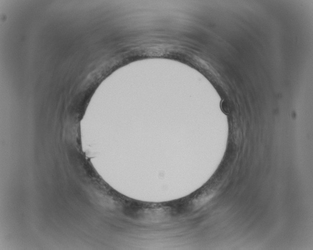 X0000062900307200602101814