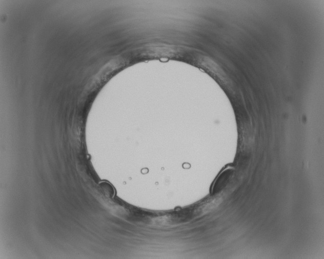 X0000062900309200602101814