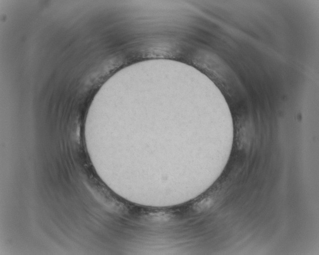 X0000062900310200602101813