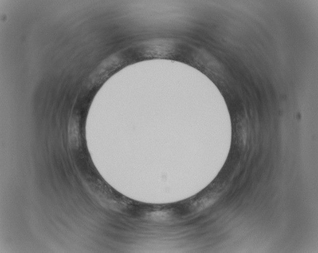 X0000062900312200602101813